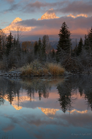 Beaver Pond, Grand Teton