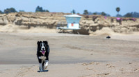 Surf Rescue