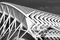 Ciudad de las Artes y las Ciencias II